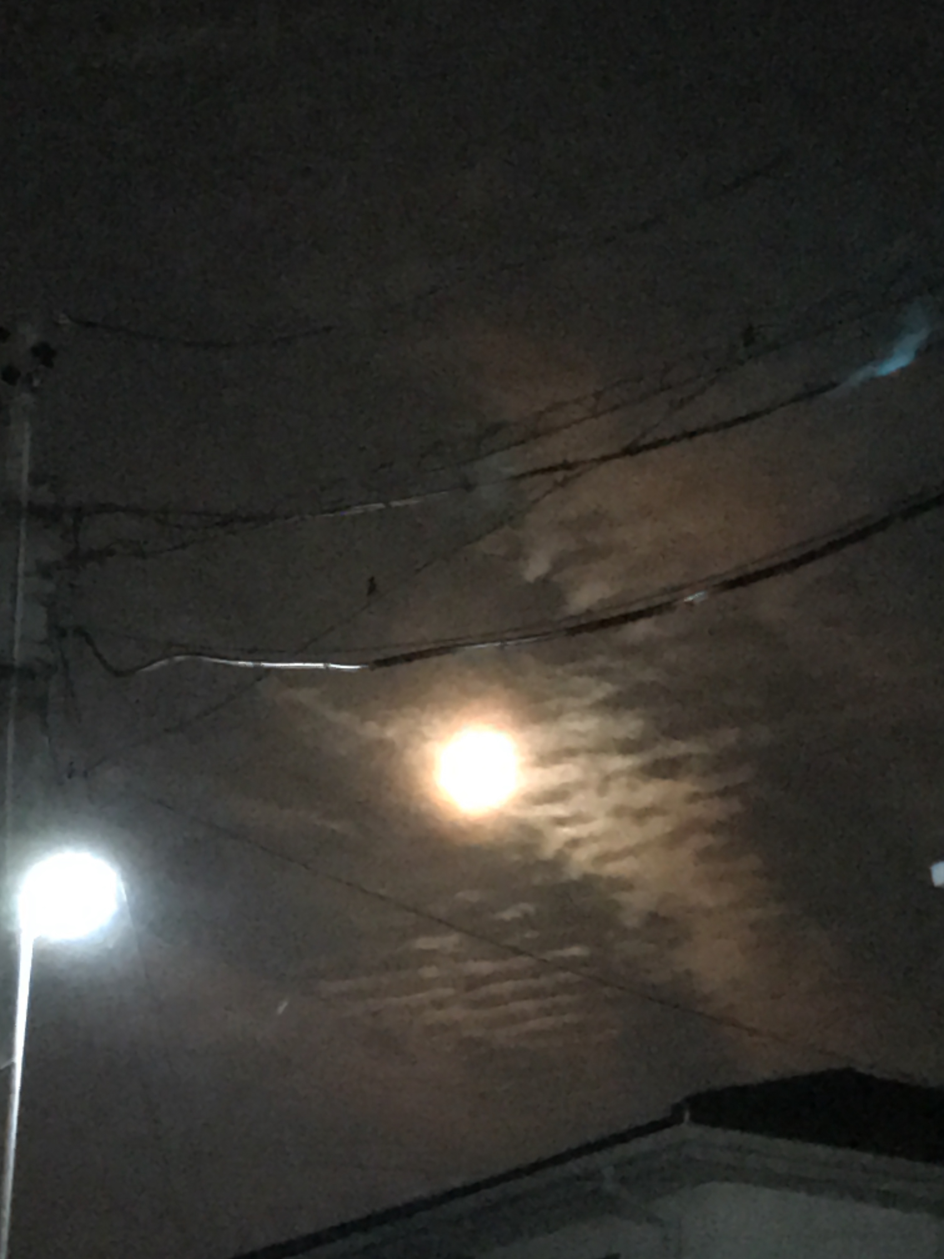 No.48973-1 地震雲