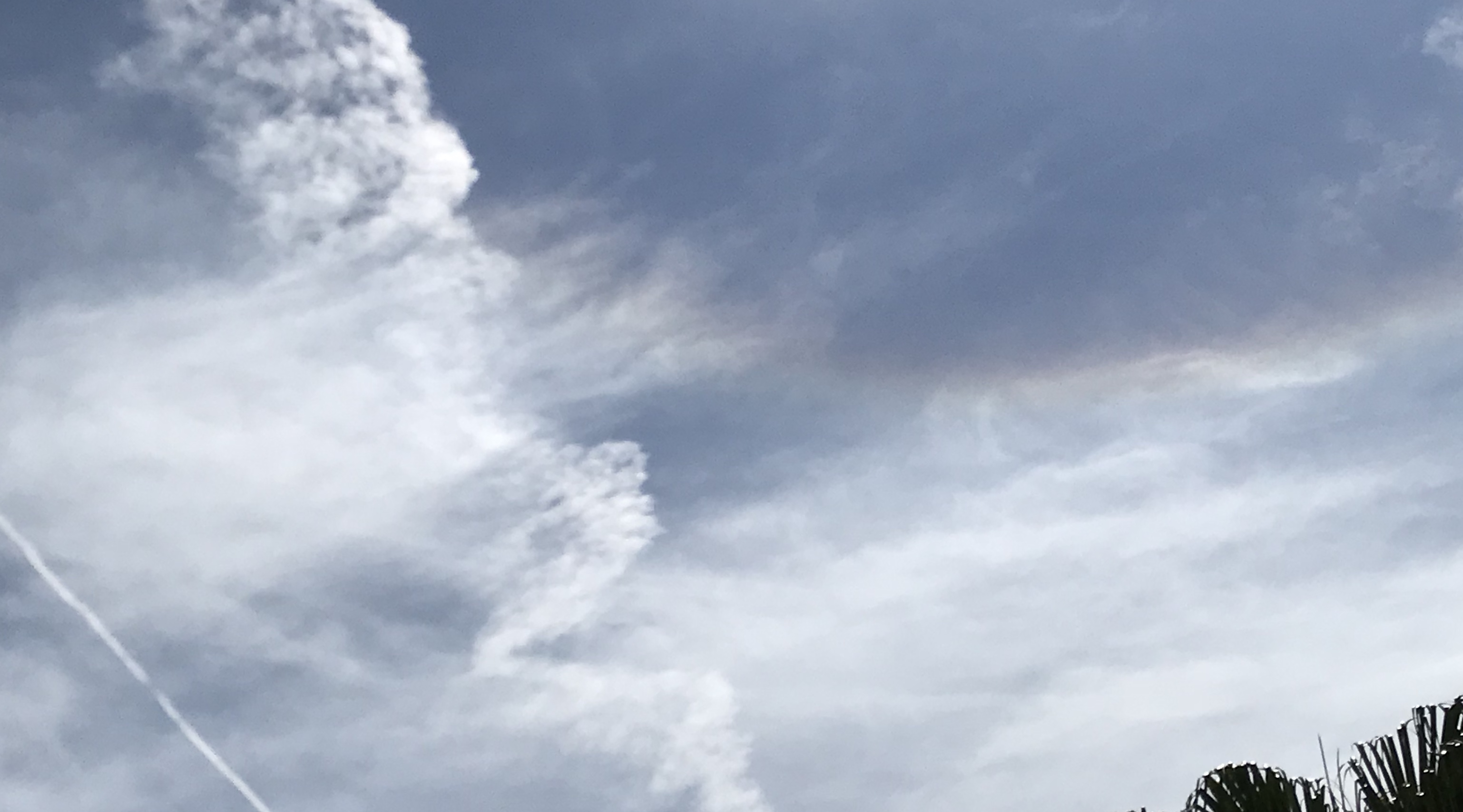 No.49234-1 地震雲