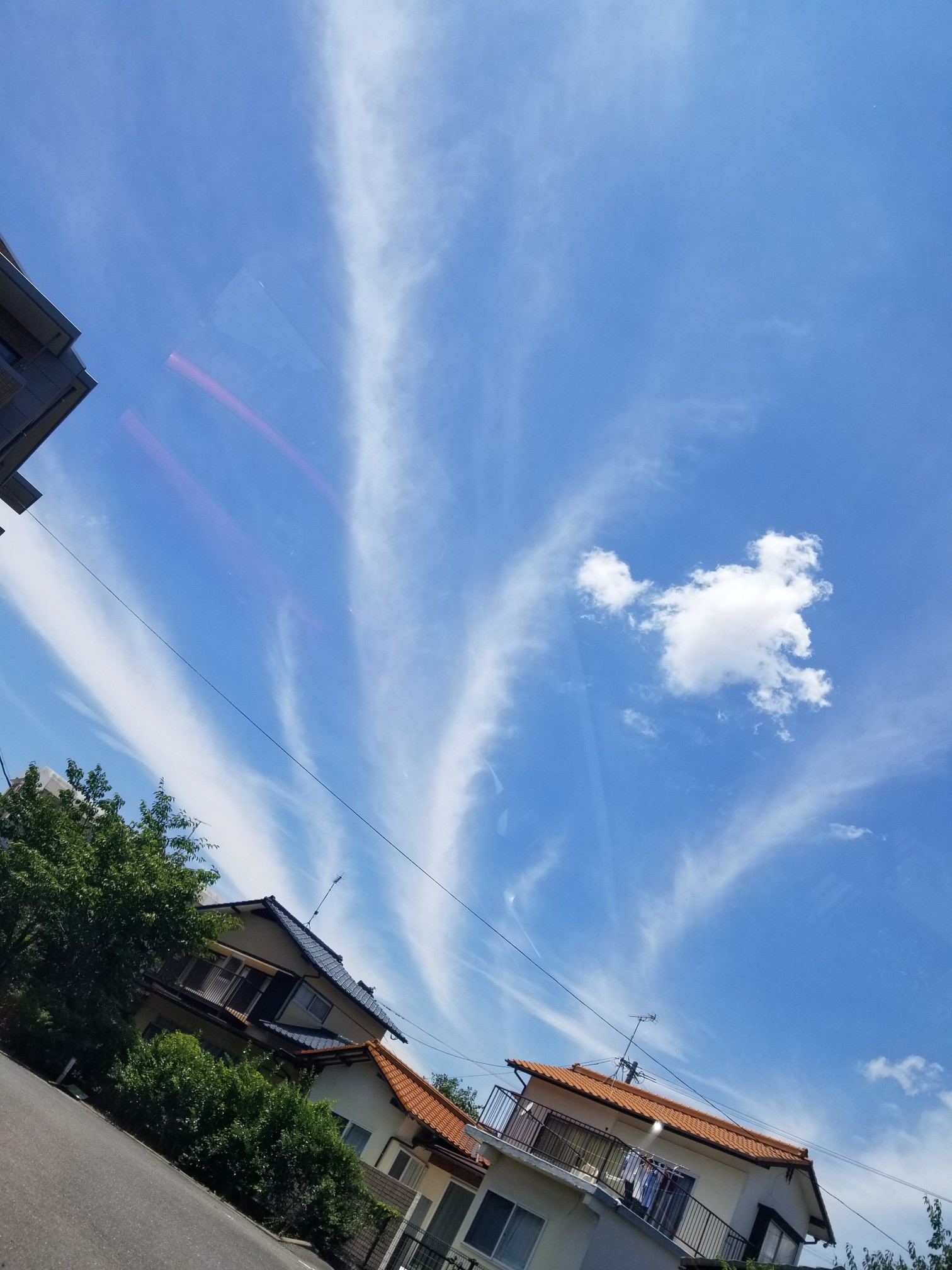 No.49310-1 地震雲