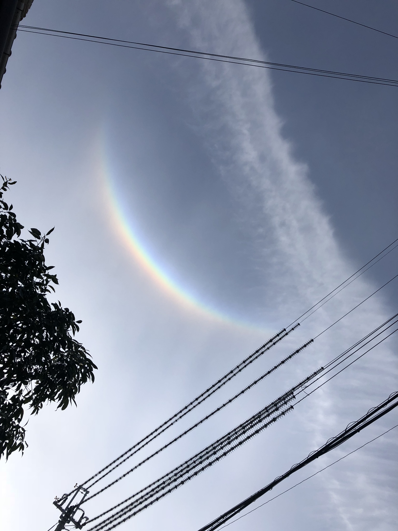 No.49494-1 地震雲