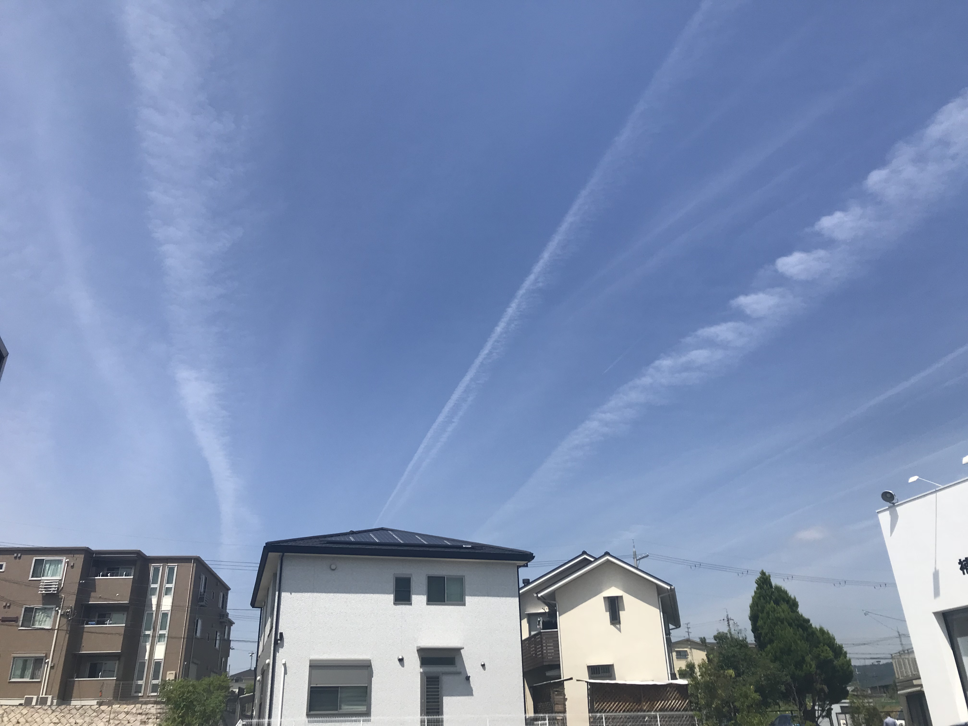 No.49764-1 地震雲