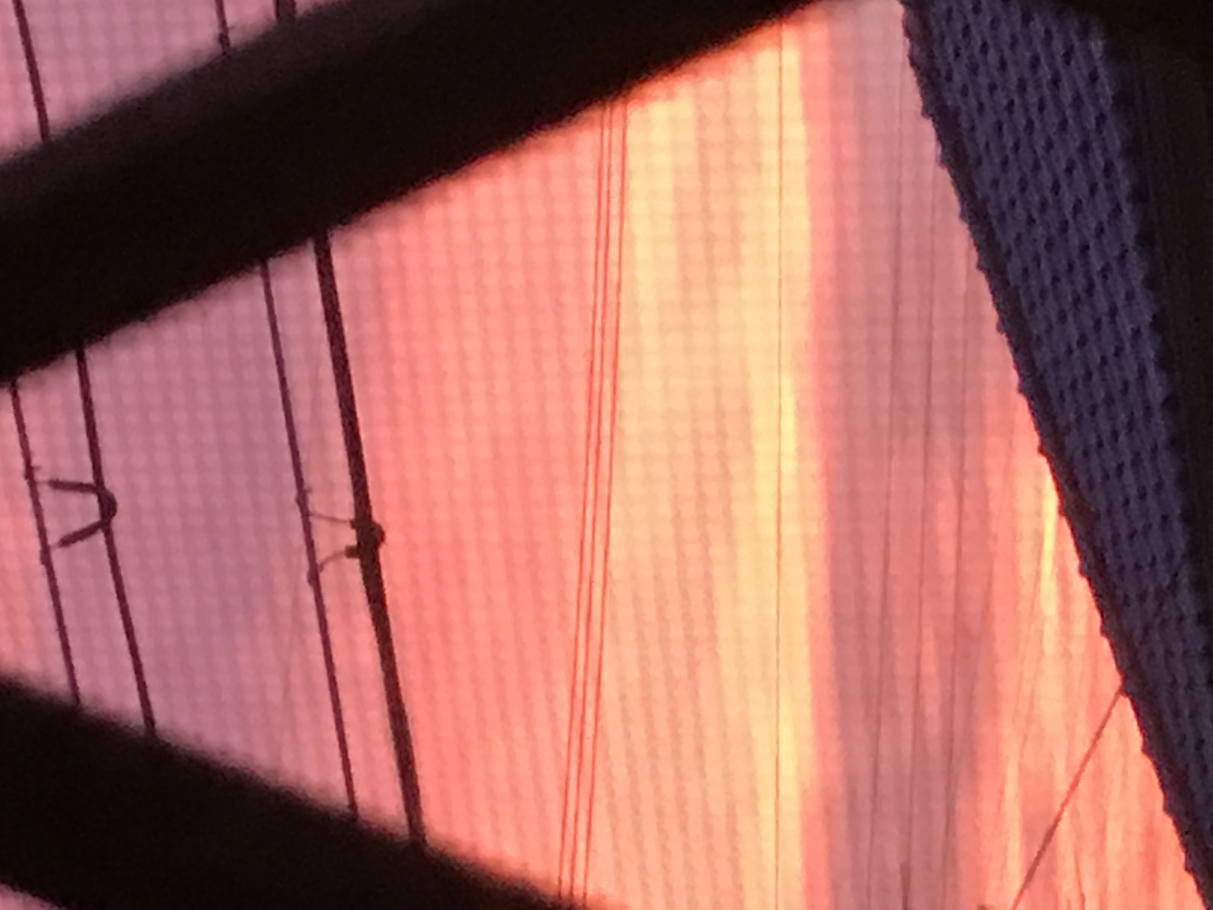 No.49780-1 地震雲