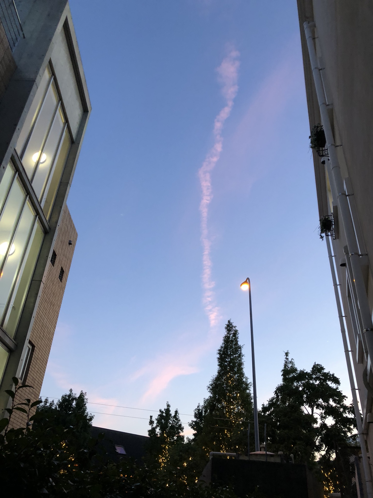 No.50142-1 地震雲