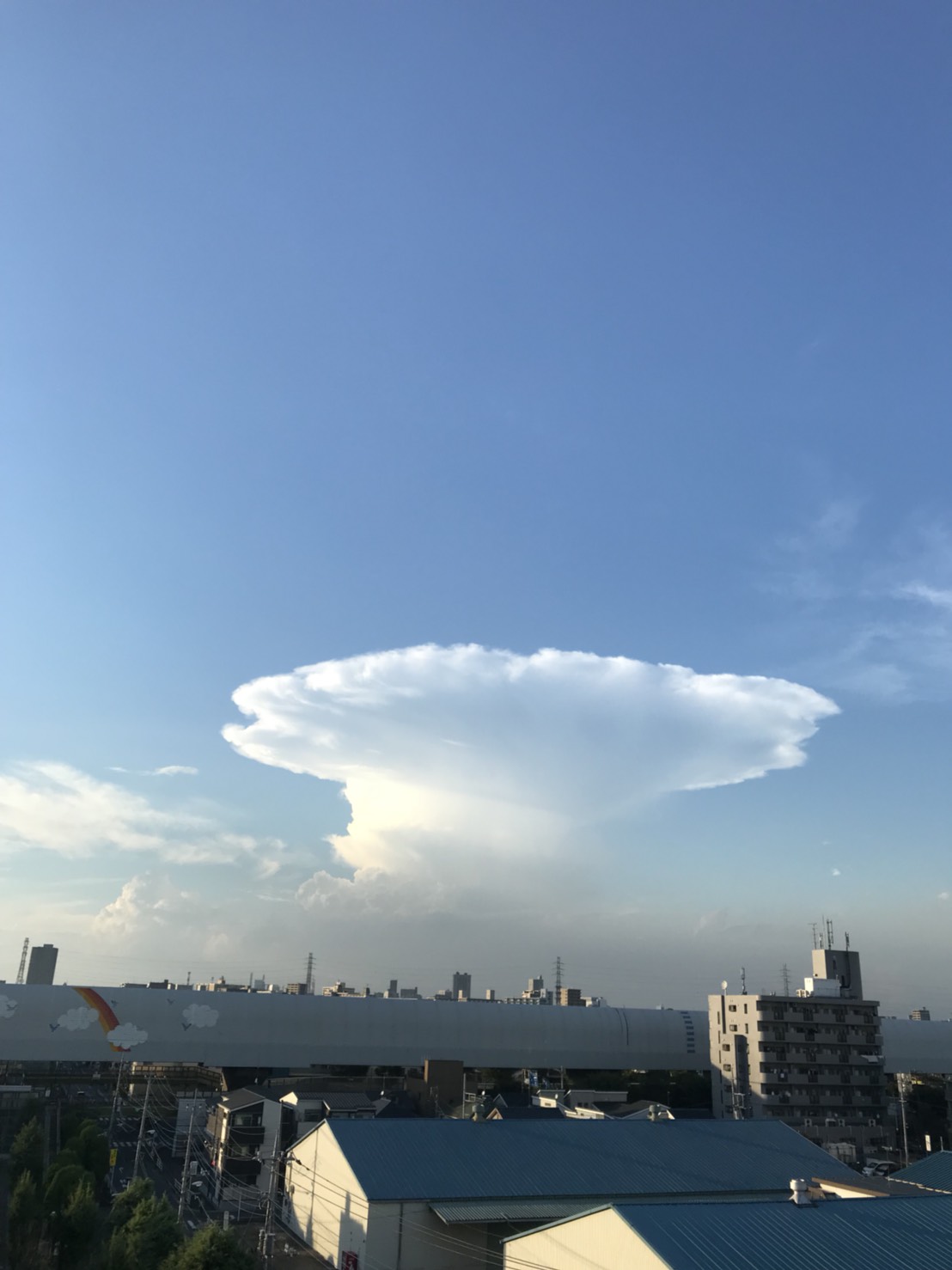 No.50244-1 地震雲