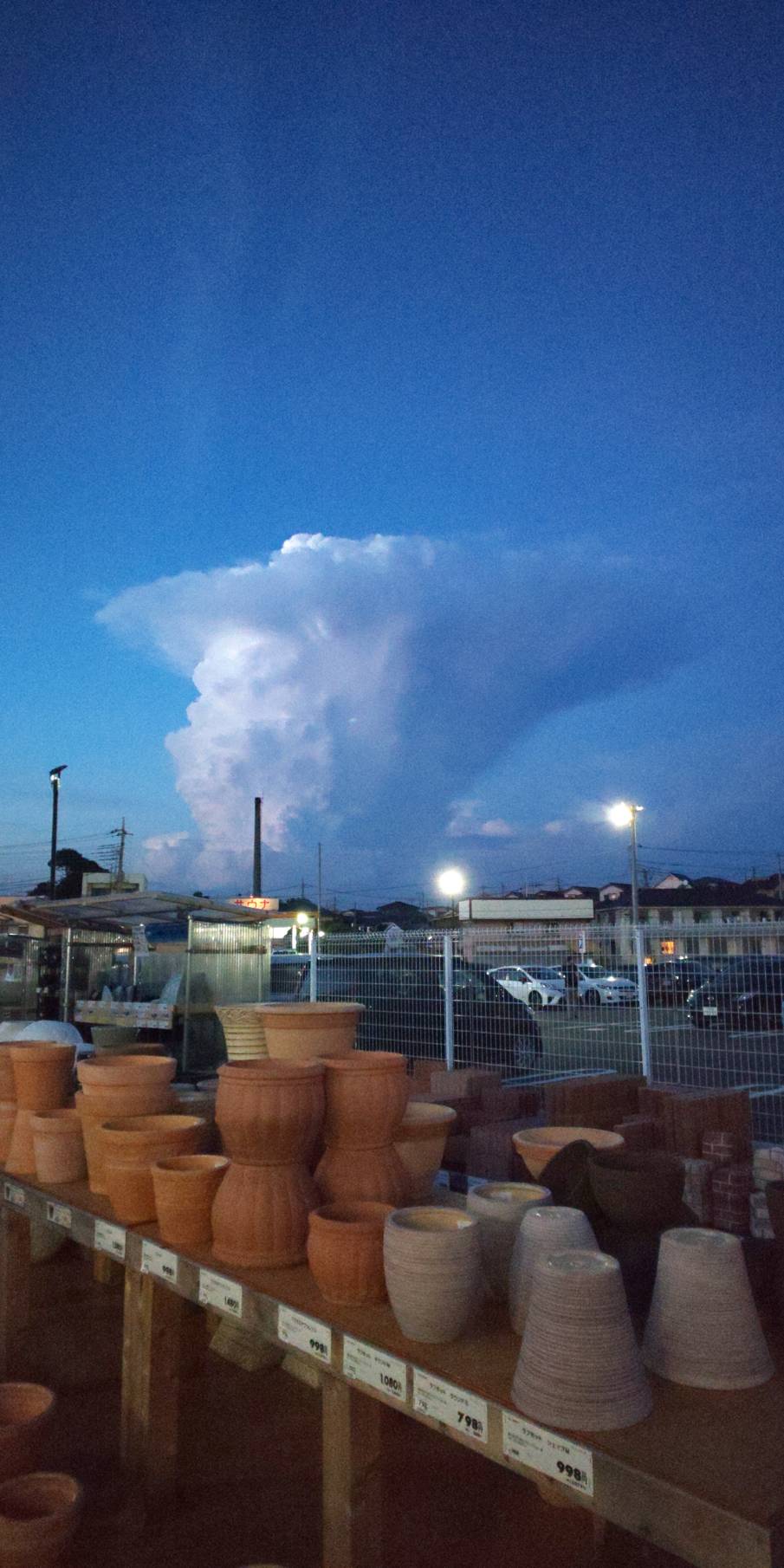 No.50245-1 地震雲