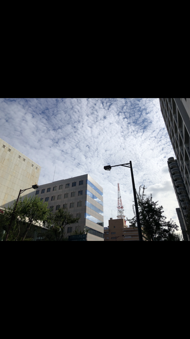 No.50262-1 地震雲