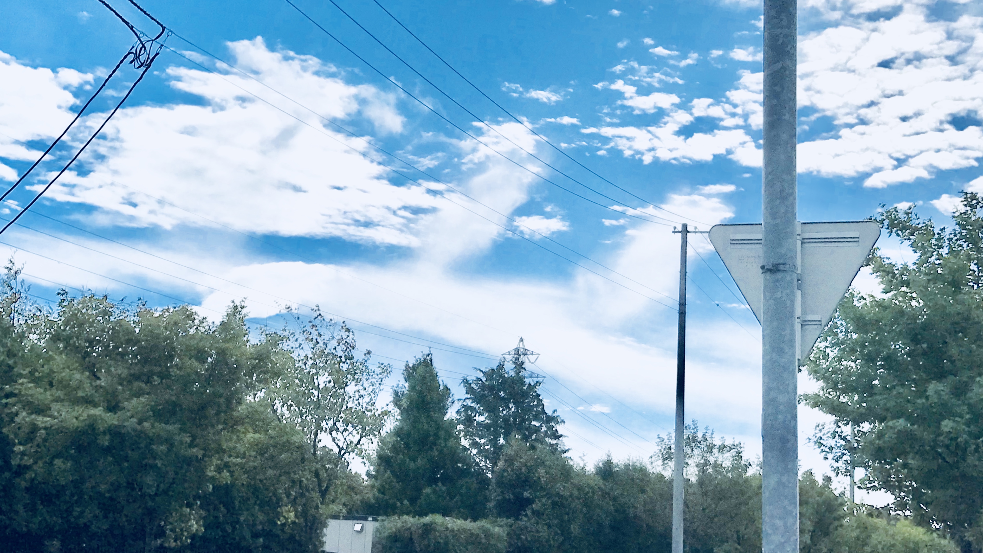 No.50397-1 地震雲