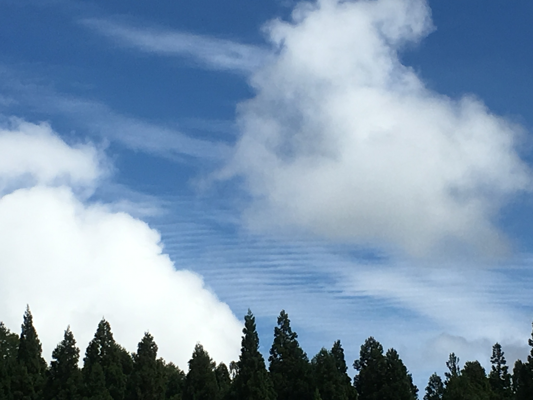 No.50512-1 地震雲