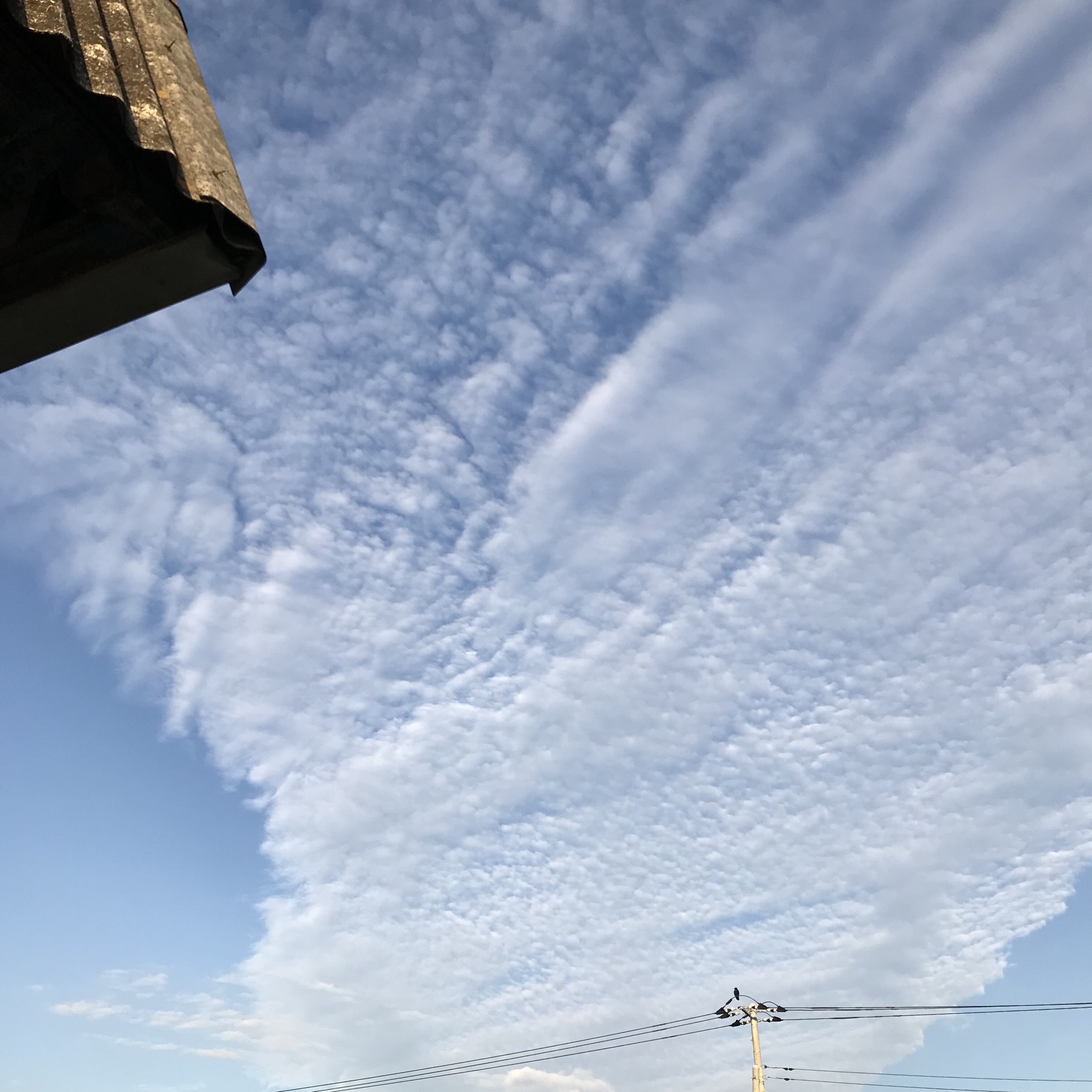 No.51248-1 地震雲