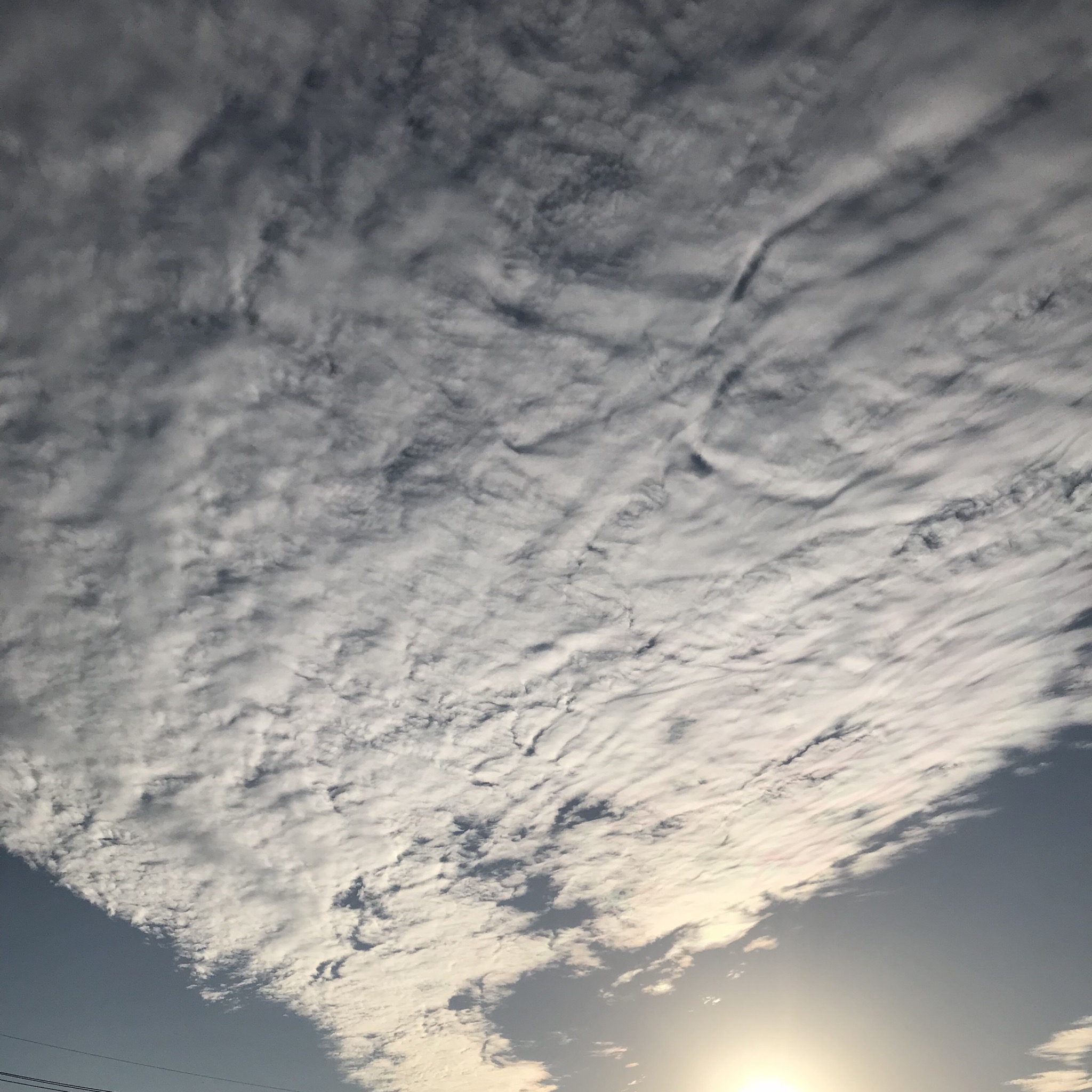 No.51249-1 地震雲