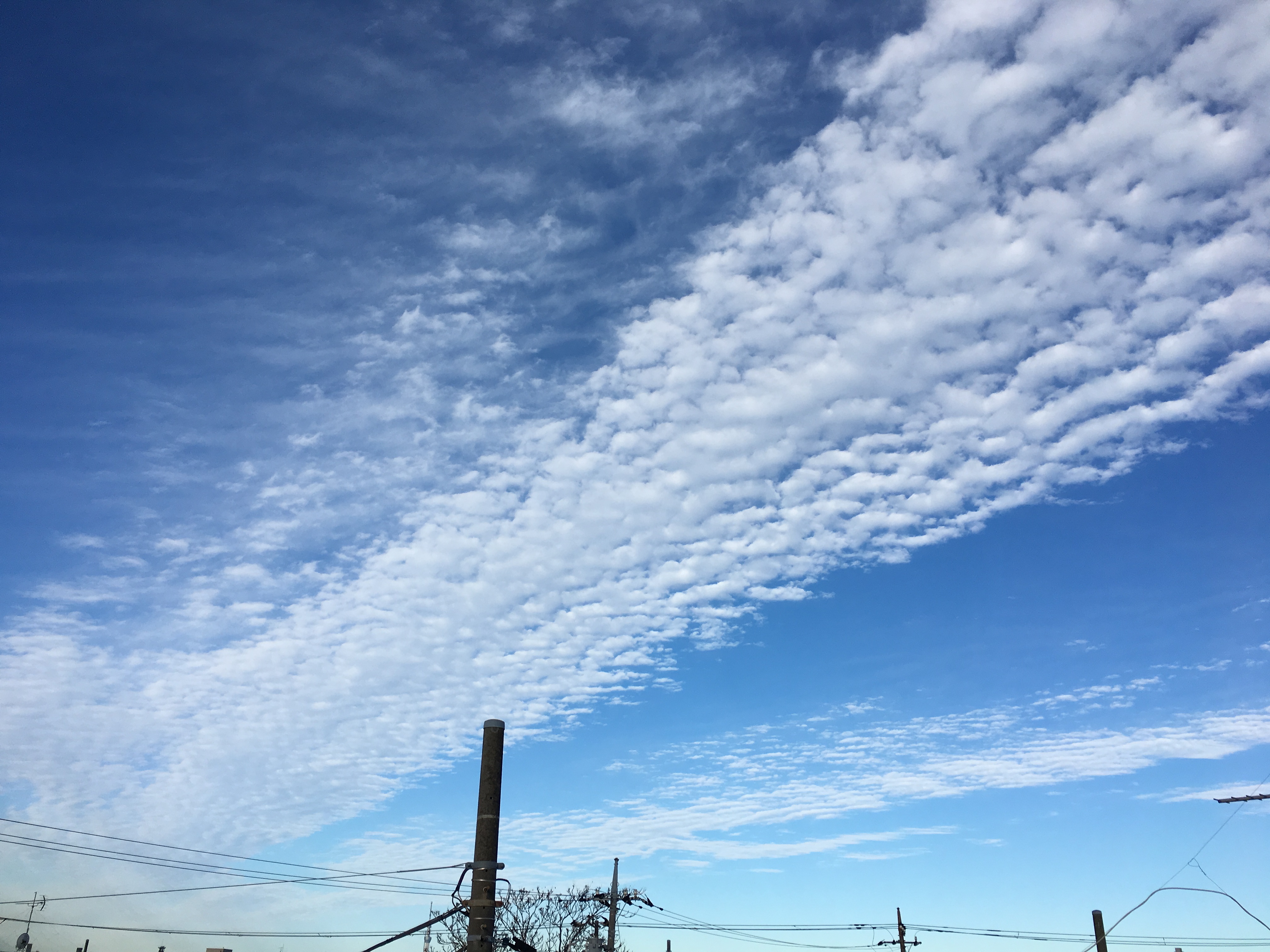 No.51289-1 地震雲