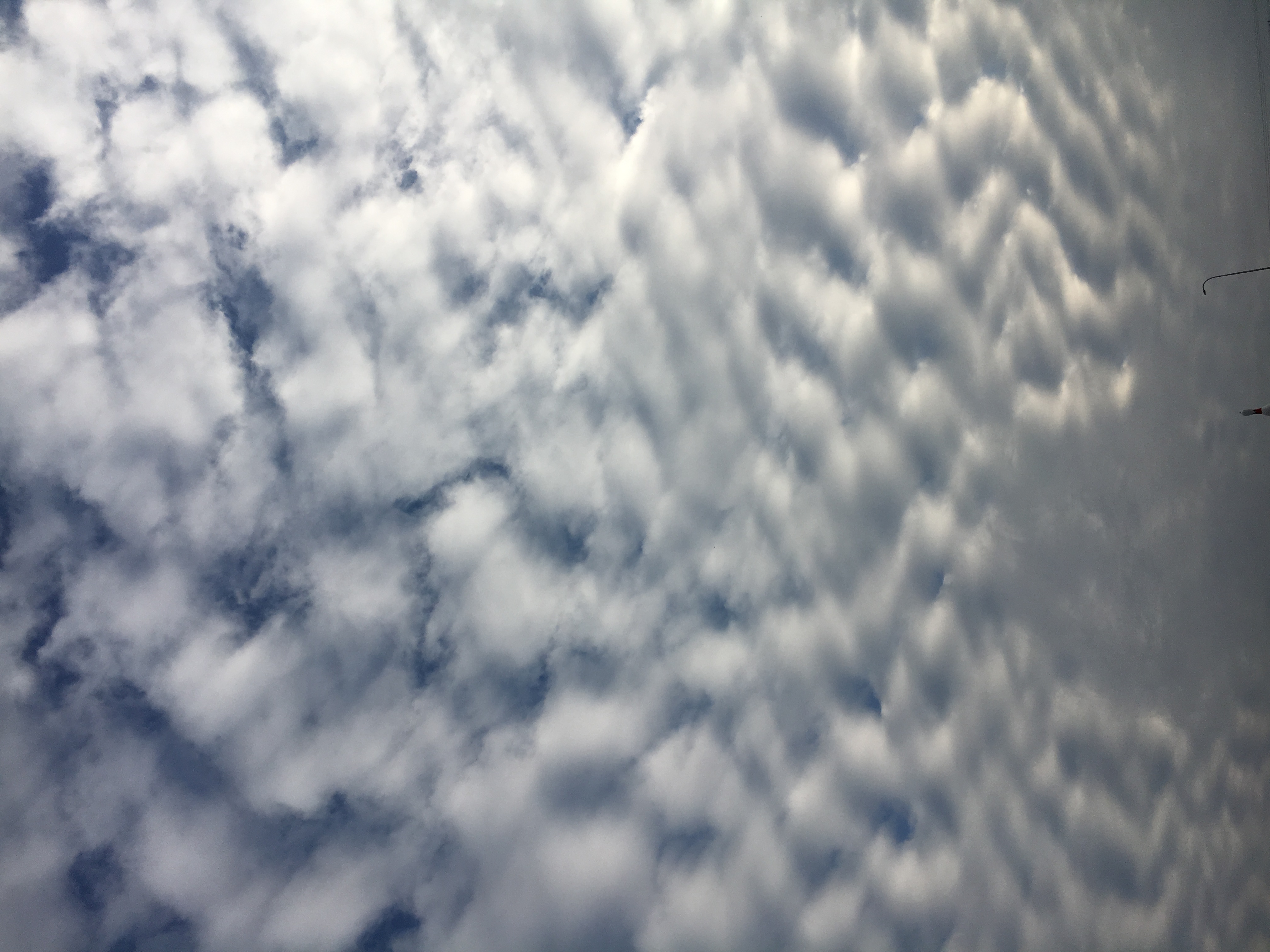 No.52329-1 地震雲