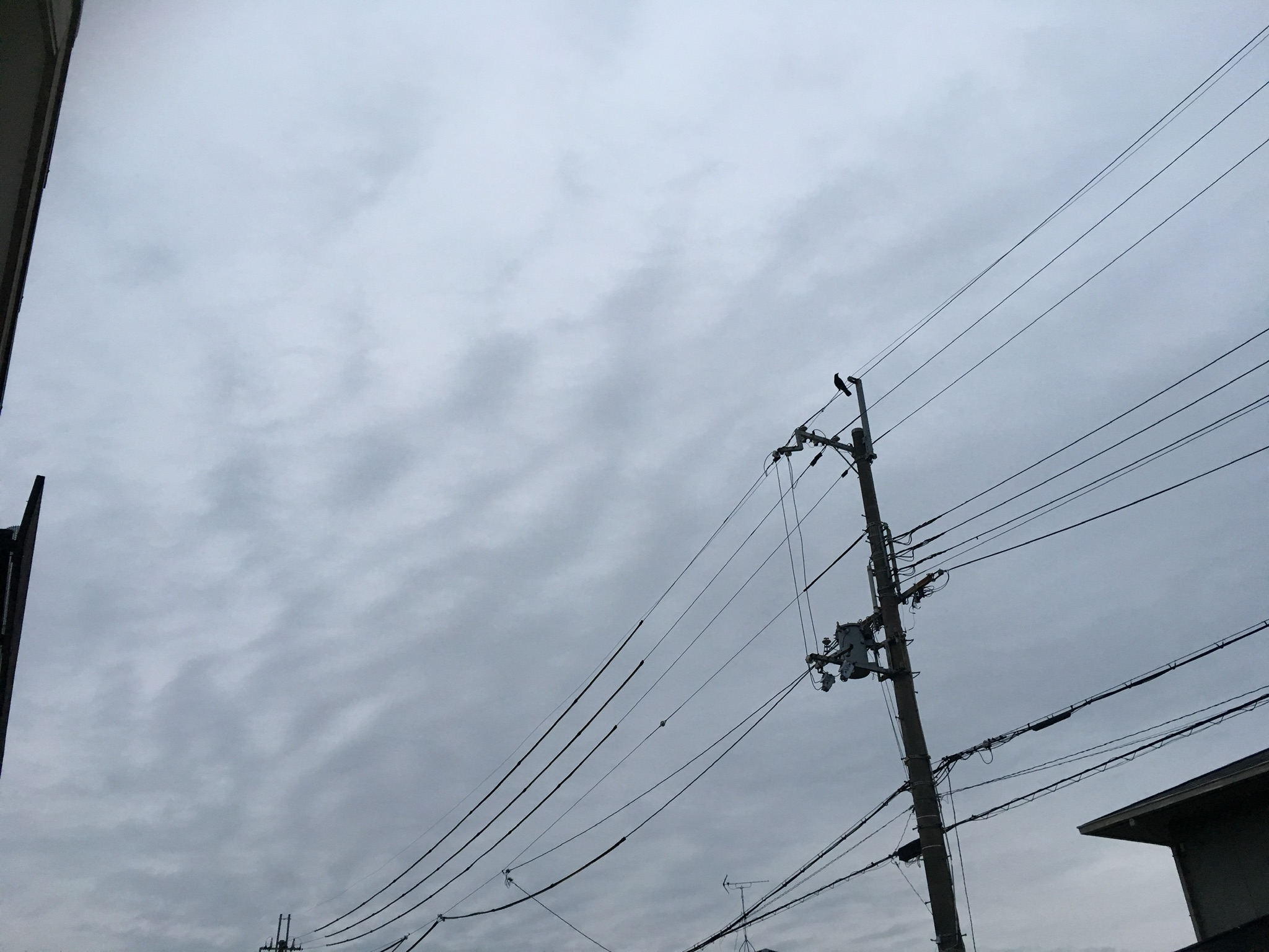 No.52350-1 地震雲