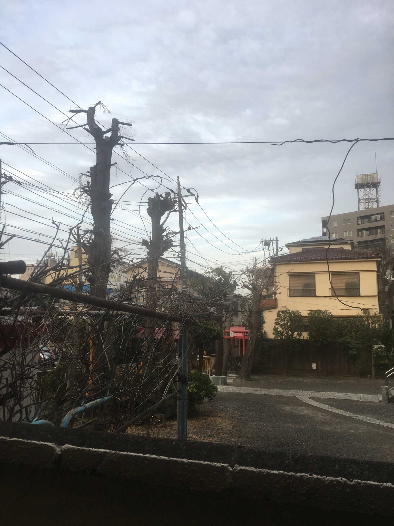 No.53182-1 地震雲