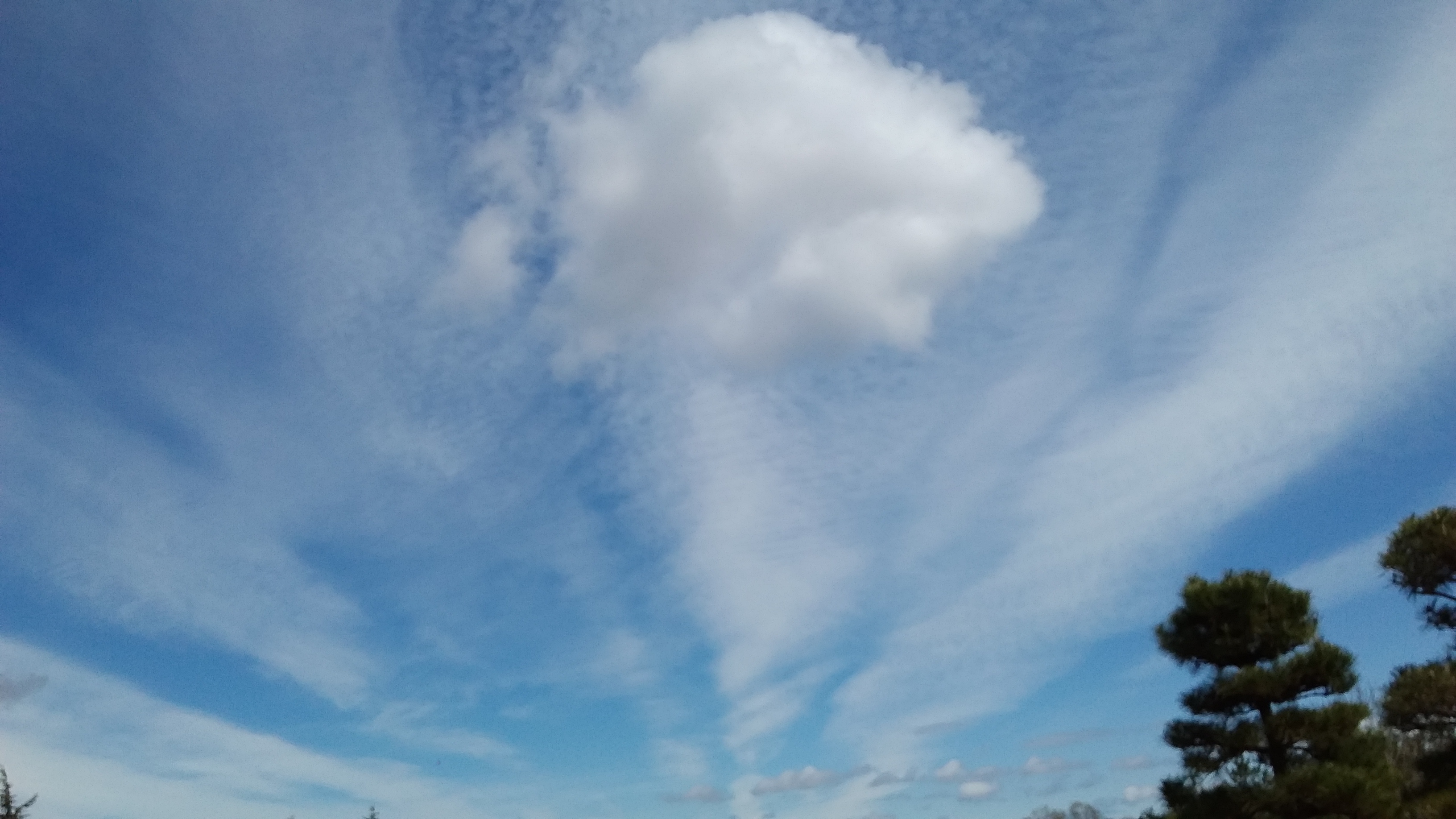 No.53455-1 地震雲