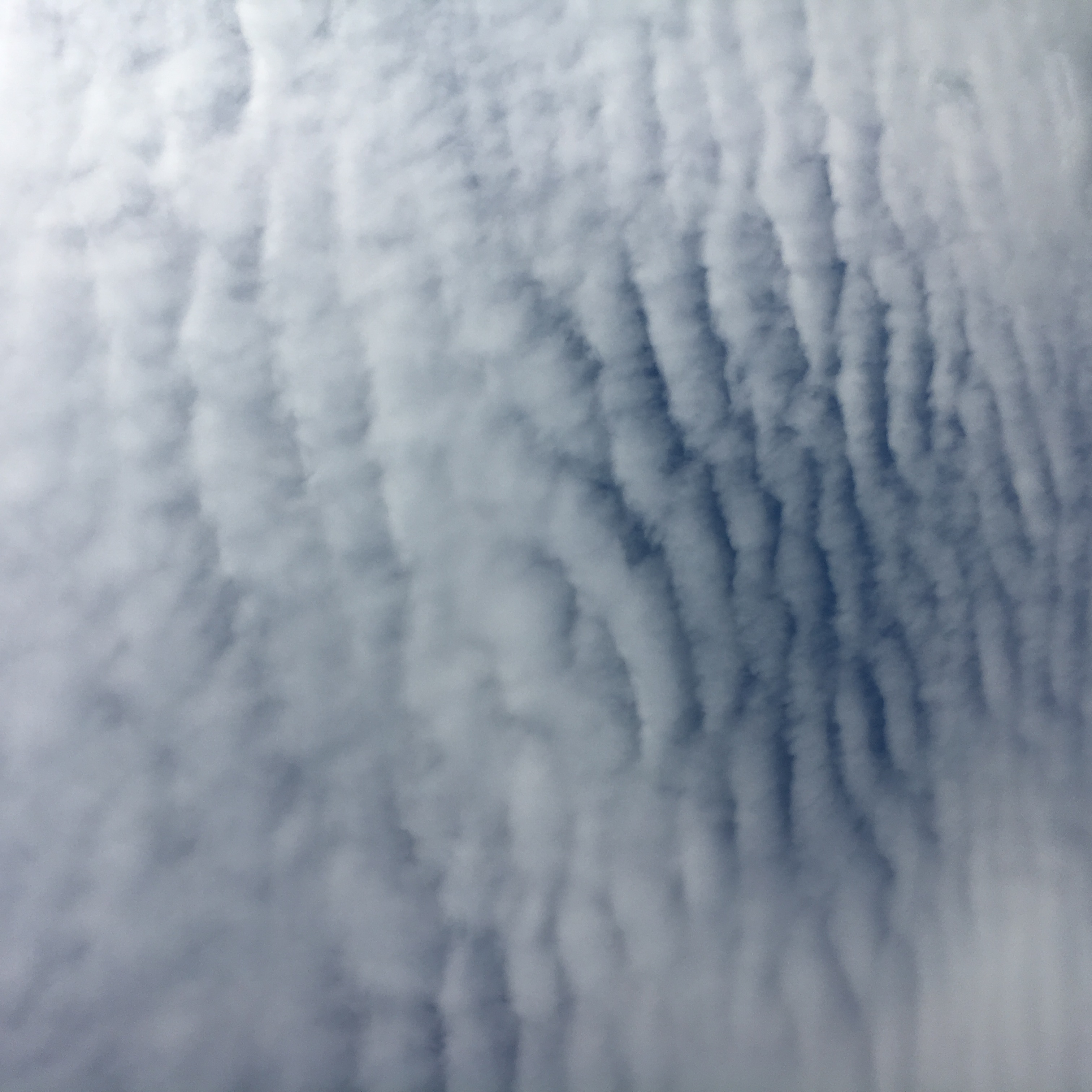 No.53473-1 地震雲