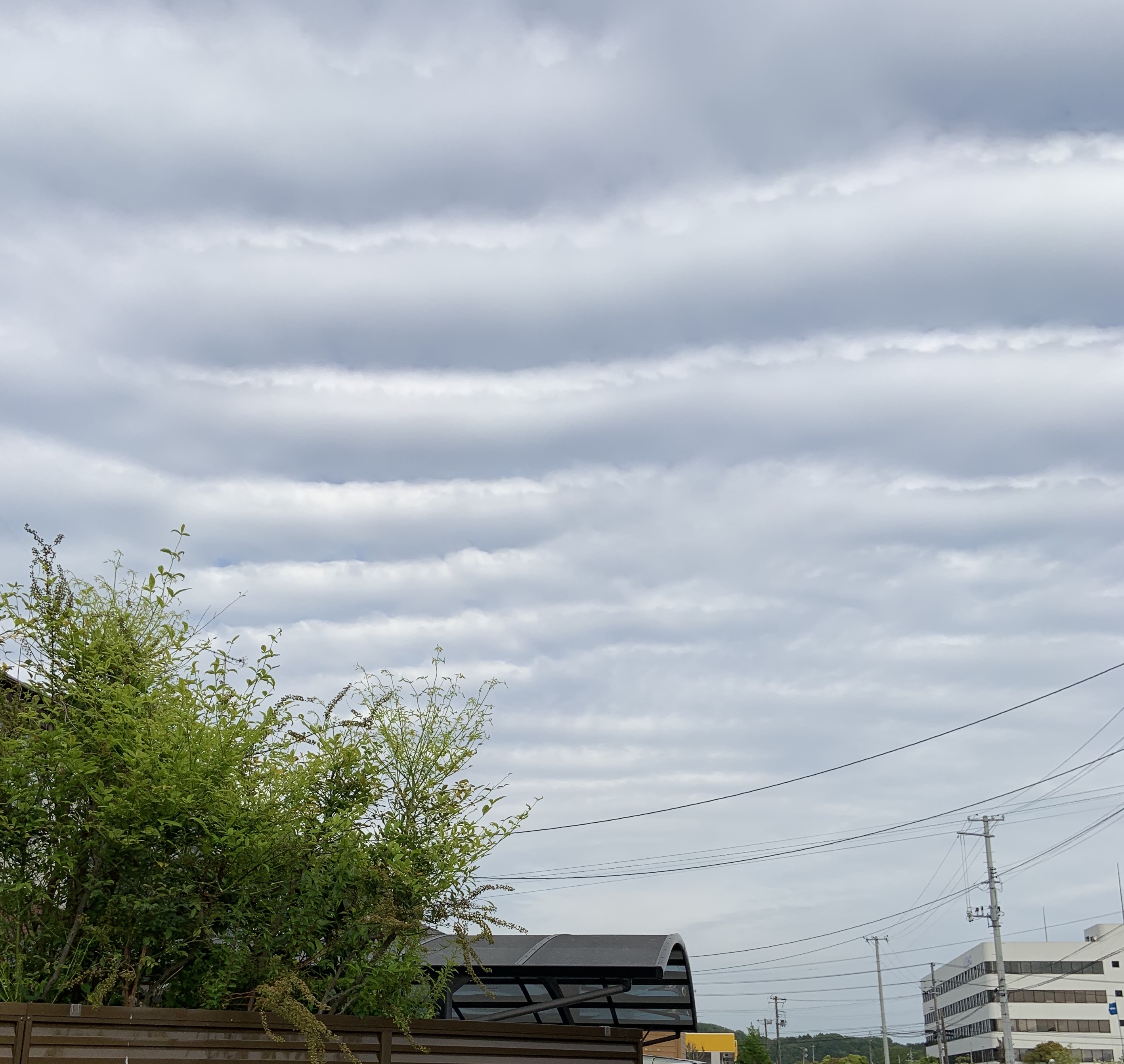 No.53758-1 地震雲