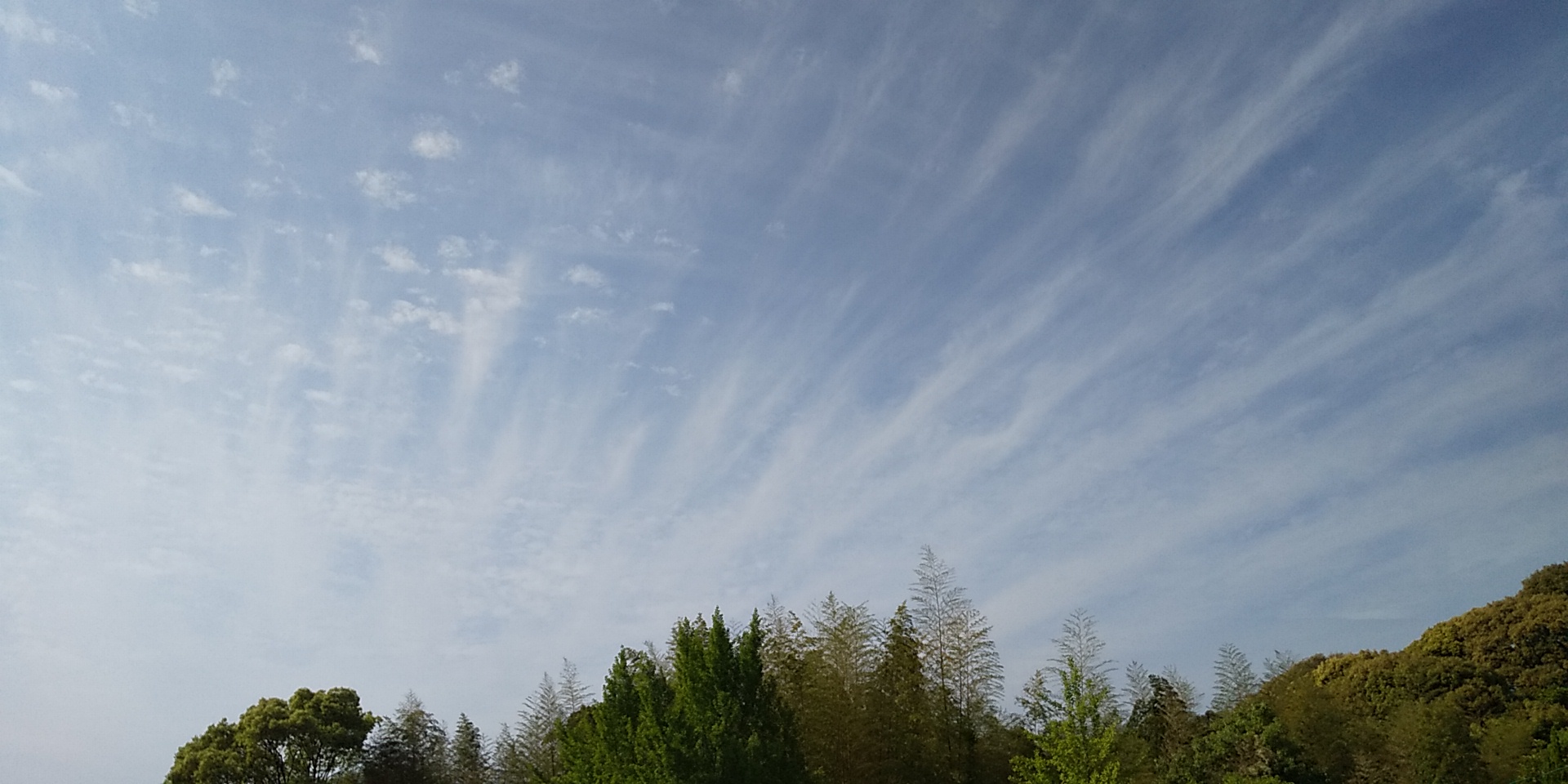 No.53803-1 地震雲