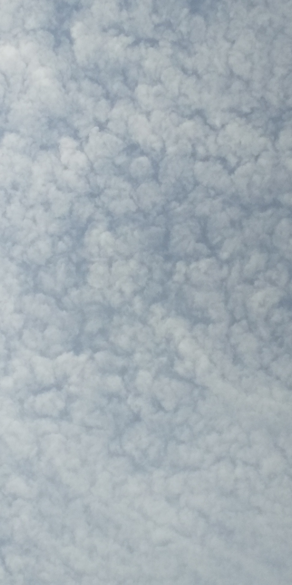 No.53804-1 地震雲