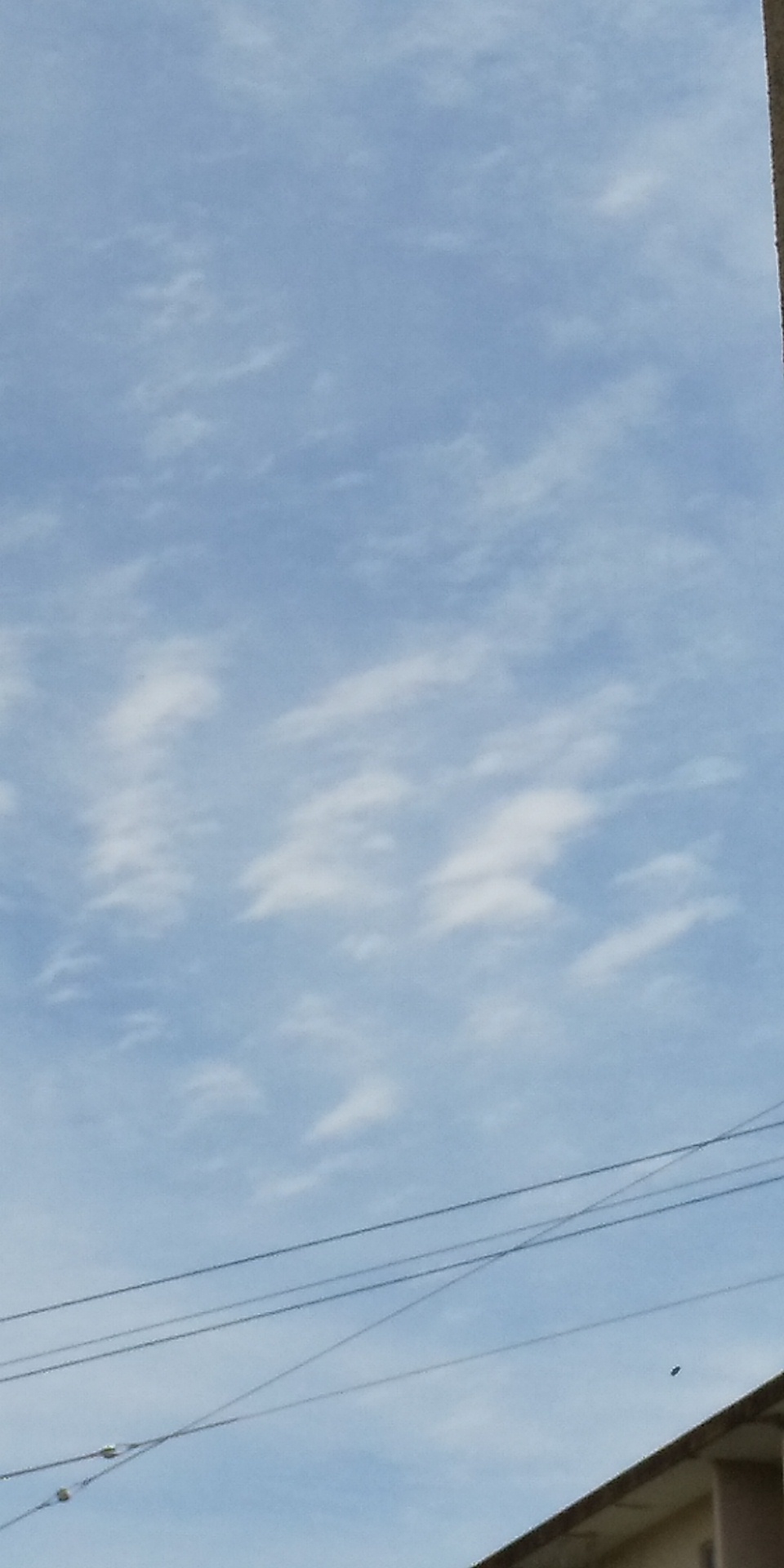 No.53806-1 地震雲