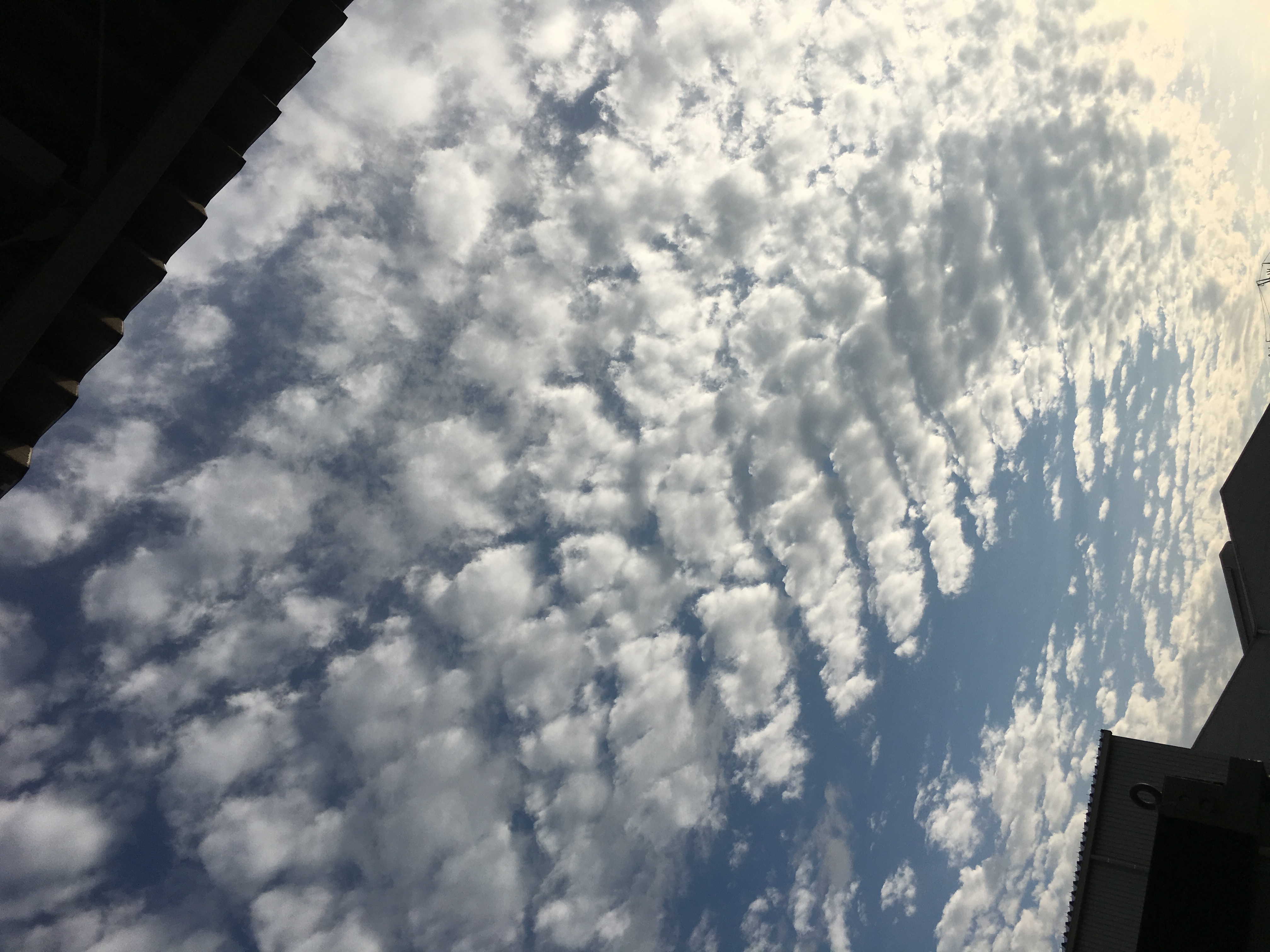 No.53850-1 地震雲