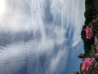 No.54215-1 地震雲