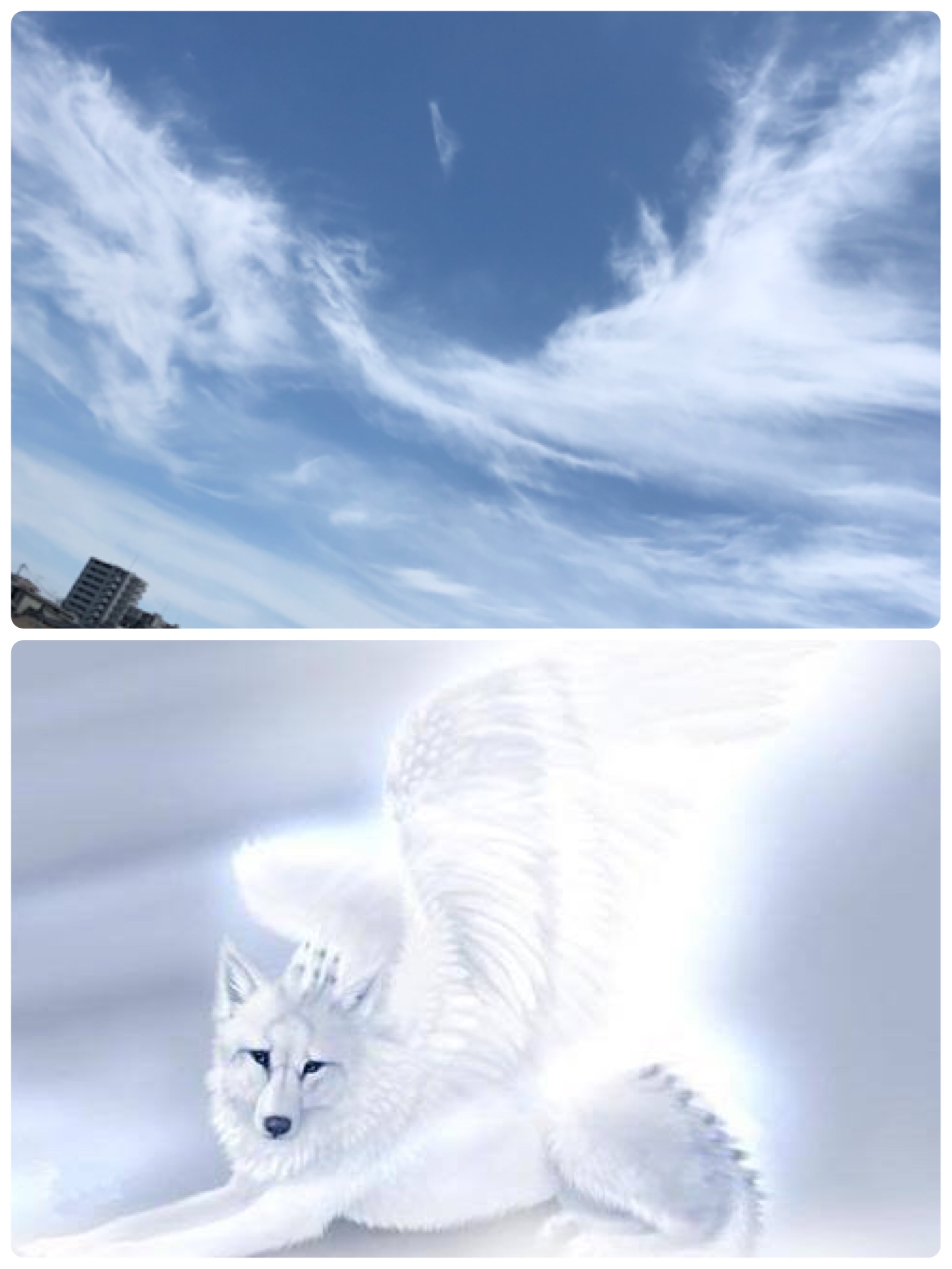 No.54430-1 地震雲