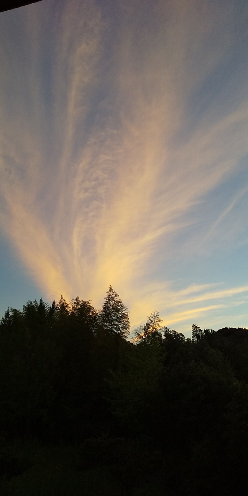 No.54966-1 地震雲