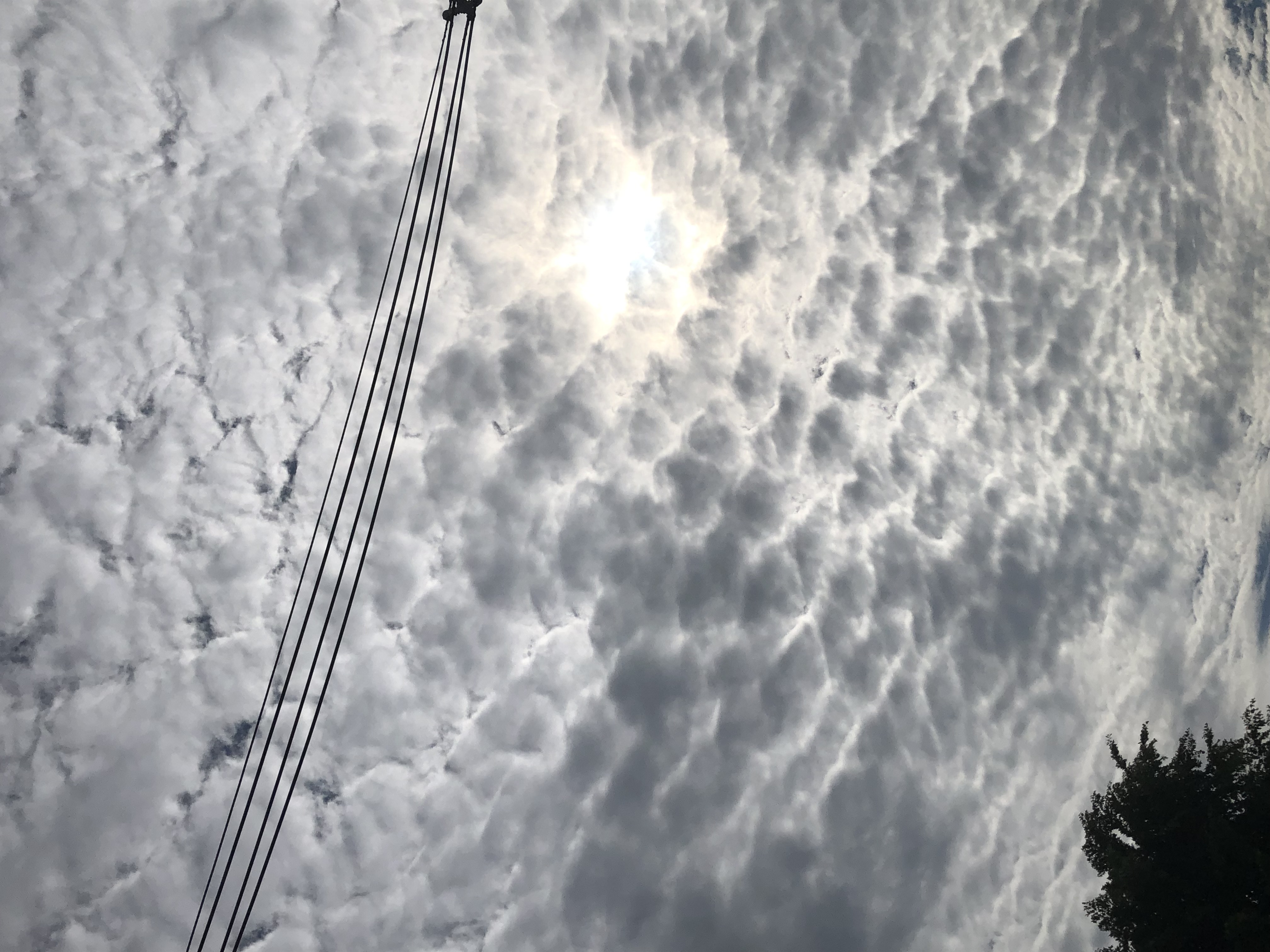 No.57776-1 地震雲