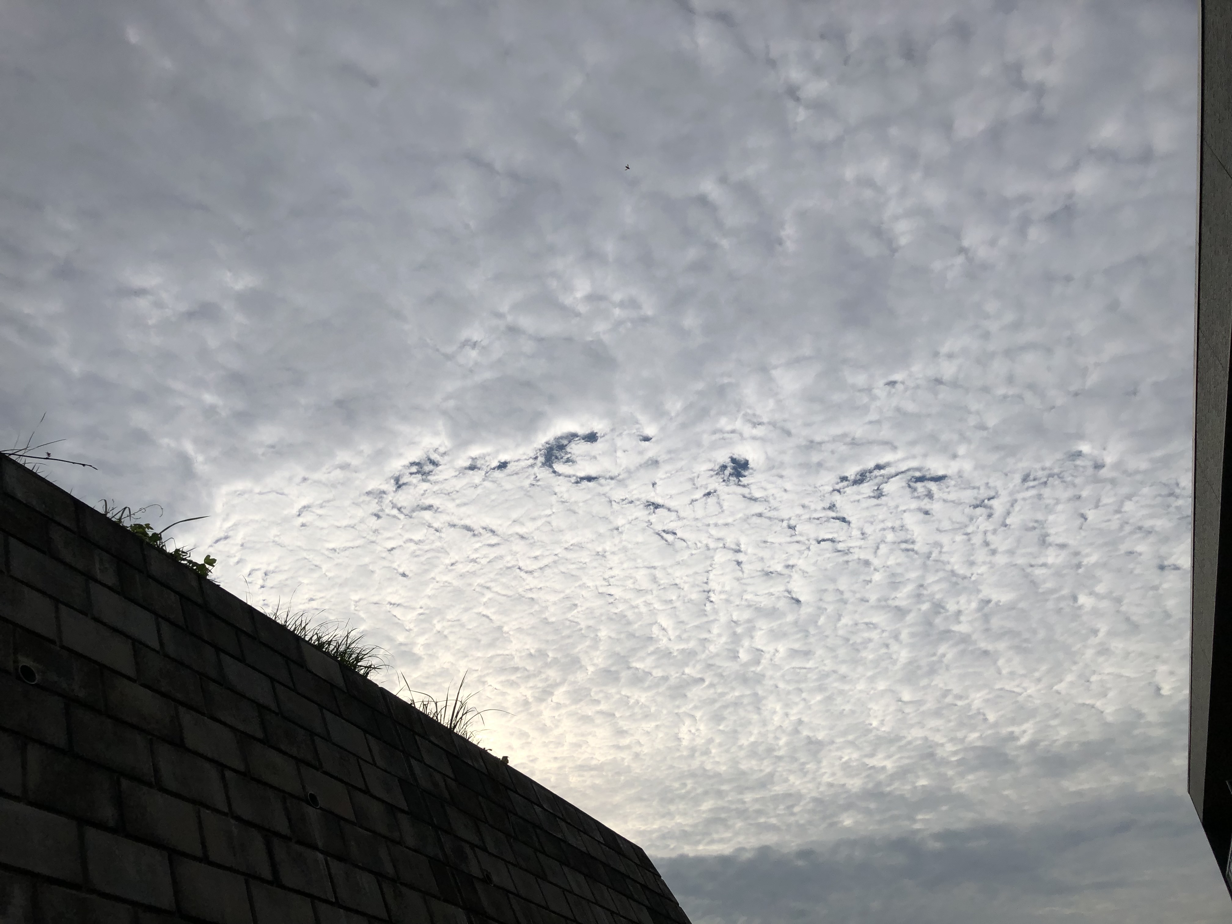 No.57947-1 地震雲
