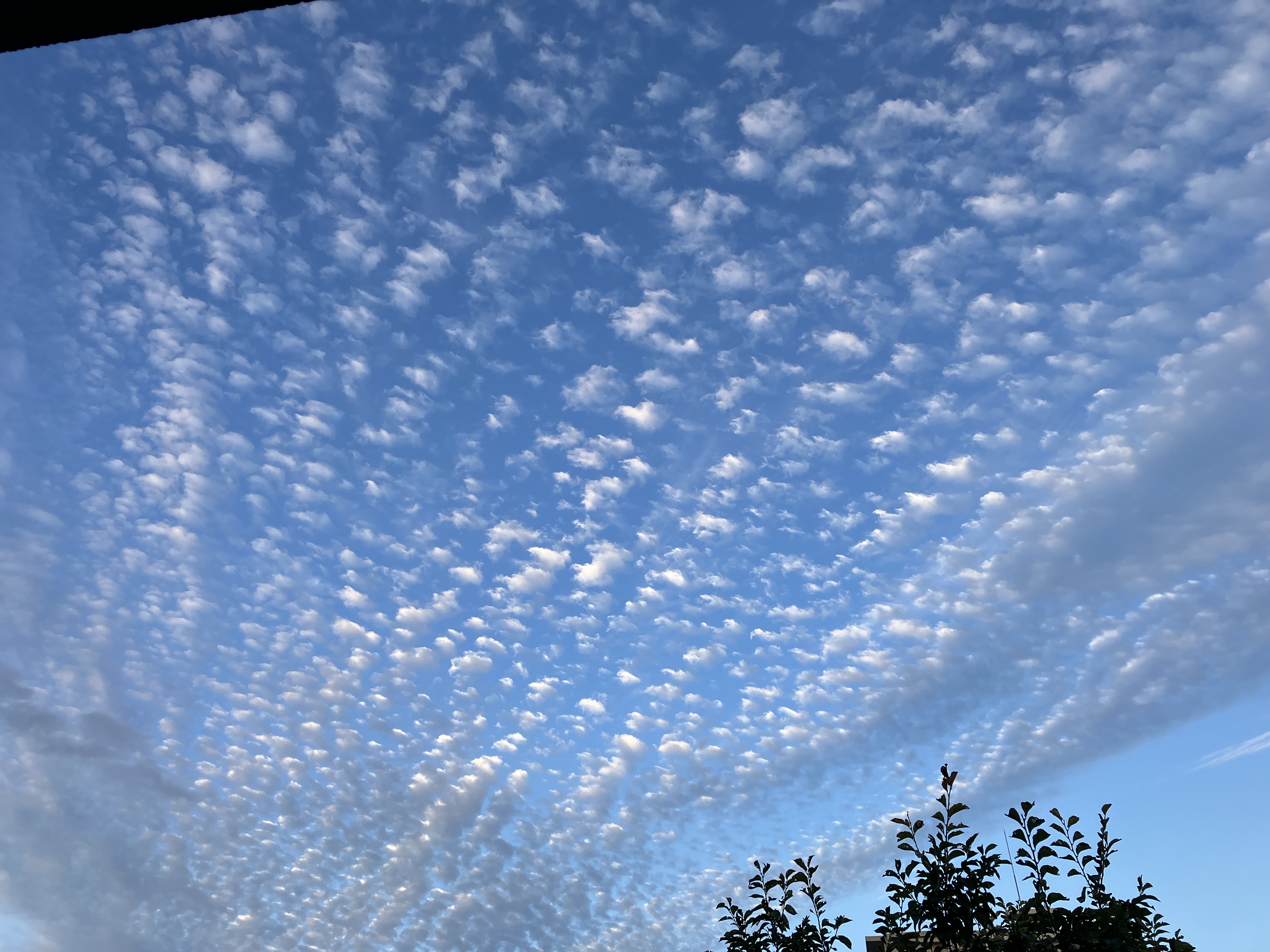 No.57953-1 地震雲